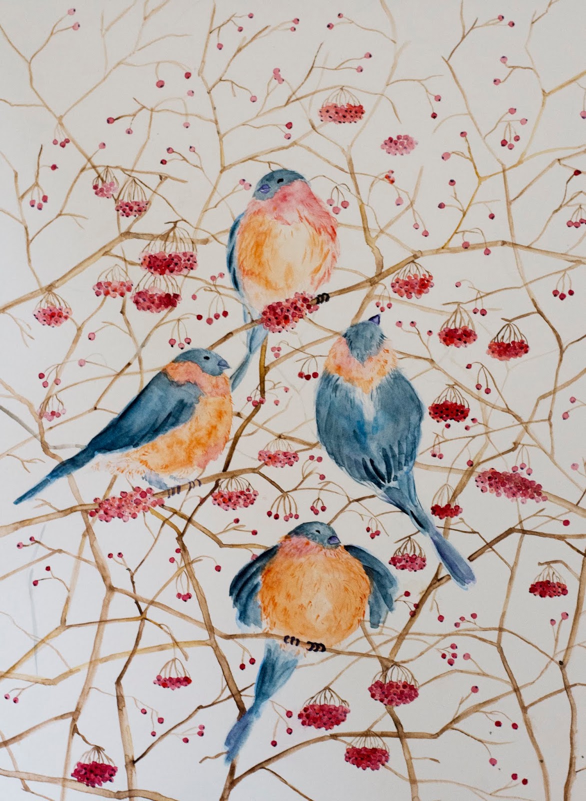 Miniatura de cuatro pájaros azul y naranja entre ramas desnudas con bayas rojas